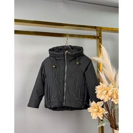 Куртка дитяча демісезонна на дівчинку 863 black р.104-128 "Delfinka" недорого оптом від прямого постачальника