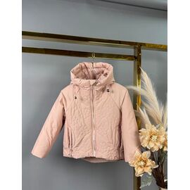 Куртка дитяча демісезонна на дівчинку 863 pink р.104-128 "Delfinka" недорого оптом від прямого постачальника