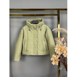 Куртка дитяча демісезонна на дівчинку 871 mint р.137-158 "Delfinka" недорого оптом від прямого постачальника