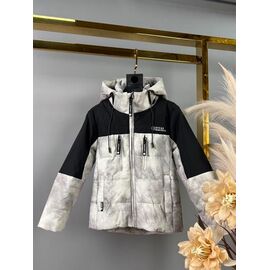 Фотография Куртка детская демисезонная на мальчика A50 l.grey р.98-122 "Delfinka" недорого оптом от прямого поставщика