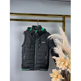 Куртка дитяча демісезонна на хлопчика WK31 black р.128-152 "Delfinka" недорого оптом від прямого постачальника