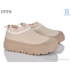 Кросівки жіночі модні Зима KT93-E (6 пар р.36-40) "ITTS" недорого оптом від прямого постачальника