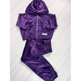 Костюм дитячий спортивний на дівчинку 220 violet р.122-146 "Baykush" недорого оптом від прямого постачальника