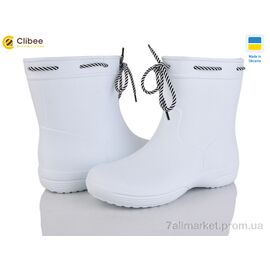 Чоботи з піни жіночі Весна/осінь 119290-6B (6 пар р.36-41) "Clibee" недорого оптом від прямого постачальника
