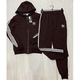 Костюм спортивний чоловічий AZ0165 brown р.46-54 "Annet" недорого оптом від прямого постачальника