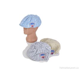 Фотография Кепка детская Лето 005-23 mix (54) (5 шт. р.сетка One size) "Кепочный стиль" недорого оптом от прямого поставщика