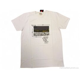 Футболка чоловіча Літо 0204 білий (4 шт. р.сітка3XL-6XL) "Mabi" недорого оптом від прямого постачальника