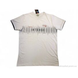 Футболка чоловіча Літо 0205 білий (4 шт. р.сітка3XL-6XL) "Mabi" недорого оптом від прямого постачальника