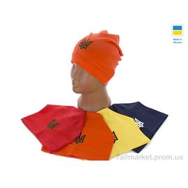 Шапка чоловіча Зима 0273 mix (5 шт. р.сітка50-54) "Mabi" недорого оптом від прямого постачальника