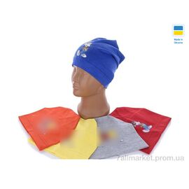 Шапка чоловіча Зима 0274 mix (5 шт. р.сітка50-54) "Mabi" недорого оптом від прямого постачальника