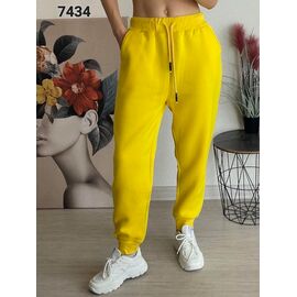 Штани спортивні жіночі теплі 7434 yellow р.46-52 "FSN" недорого оптом від прямого постачальника