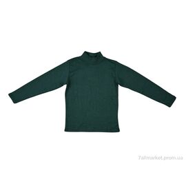Фотография Гольфы женские Весна/осень 0023 green (2 шт. р.сетка 2XL-3XL) "Textile" недорого оптом от прямого поставщика
