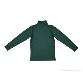 Фотография Гольфы женские Весна/осень 0020 green (2 шт. р.сетка 2XL-3XL) "Textile" недорого оптом от прямого поставщика
