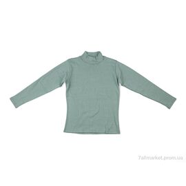 Фотография Гольфы женские Весна/осень 0017 l.green (2 шт. р.сетка 2XL-3XL) "Textile" недорого оптом от прямого поставщика