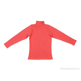 Фотография Гольфы женские Весна/осень 007 orange (4 шт. р.сетка S-XL) "Textile" недорого оптом от прямого поставщика