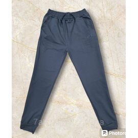 Фотография Спортивные штаны мужские на манжете NIKE размеры 46-54 "MODY" недорого от прямого поставщика