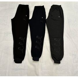 Штани спортивні чоловічі утеплені E646 grey р.46-54 "Essa" недорого оптом від прямого постачальника