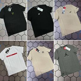 Футболка чоловіча 4918P beige р.S-2XL "Alex Clothes" недорого оптом від прямого постачальника