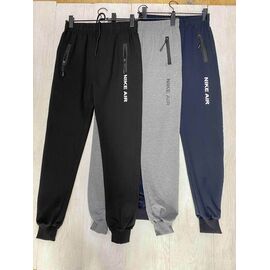 Штани спортивні чоловічі ZV982 grey р.48-56 "Zalov" недорого оптом від прямого постачальника