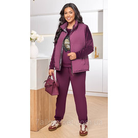 Костюм 3-ка жіночий спортивний велюр + латавка (46-60) "LADA" недорого від прямого постачальника