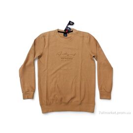 Кофта чоловіча Весна/осінь 0359 mix (4 шт. р.сіткаM-2XL) "Mabi" недорого оптом від прямого постачальника