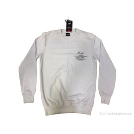 Фотография Кофта мужская Весна/осень 0367 mix (4 шт. р.сетка M-2XL) "Mabi" недорого оптом от прямого поставщика