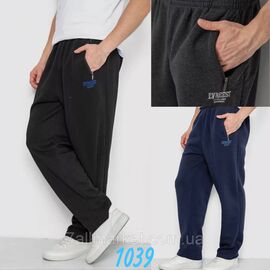 Спортивні штани чоловічі прямі/фліс р-ри 48-56 (мікс кв) "NICOLAS" недорого від прямого постачальника