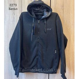 Кофта чоловіча спортивна на хутрі р-ри 3XL-7XL (3кв) "STELLA" недорого від прямого постачальника