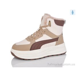 Фотография Ботинки женские стильные зима HK9027-5 (8 пар р.36-41) "DaFuYuan" недорого оптом от прямого поставщика