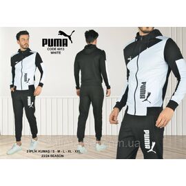 Спортивний чоловічий костюм на блискавці PUMA розміри S-2XL (7кв) "REMAIN" купити недорого від прямого постачальника