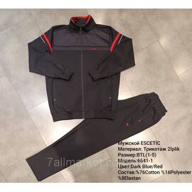 Фотография Спортивный мужской костюм ESCETIC батал  размеры 54-62 (6цв) "REMAIN" купить недорого от прямого поставщика