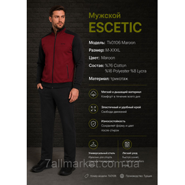 Фотография Спортивный мужской костюм ESCETIC размеры  M-3XL (6цв) "REMAIN" купить недорого от прямого поставщика