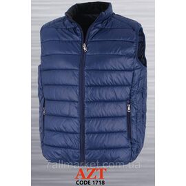 Жилетка демісезонна чоловіча стьобана розміри 46-54 "REMAIN" купити недорого від прямого постачальника