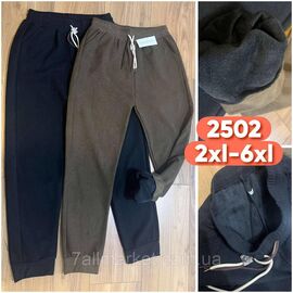 Спортивні штани жіночі, на хутрі р-ри 2XL-6XL (мікс кв)"STELLA" недорого від прямого постачальника