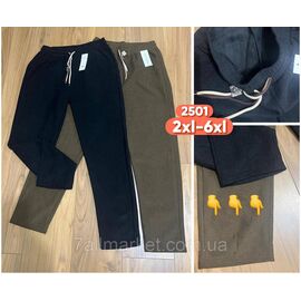 Спортивні штани жіночі, на хутрі прямі р-ри 2XL-6XL (мікс кв)"STELLA" недорого від прямого постачальника