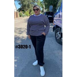 Фотография Штаны спортивные женские 3020-1 black р.54-60 "ZLATA" недорого оптом от прямого поставщика