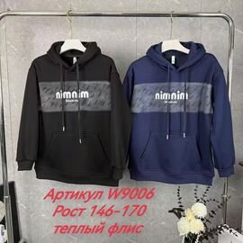 Худи дитячий на хлопчика W9006 black р.146-170 "Delfinka" недорого оптом від прямого постачальника