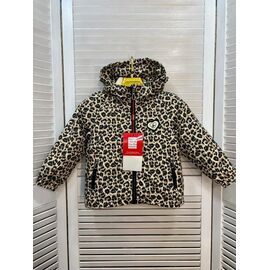 Фотография Куртка детская демисезонная на девочку T5 beige р.86-110 "Major" недорого оптом от прямого поставщика