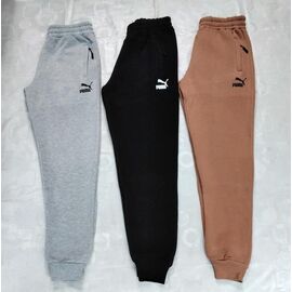 Фотография Штаны спортивные мужские утеплённые DG602 grey р.S-2XL "Dogan" недорого оптом от прямого поставщика