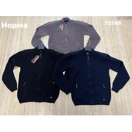 Кофта спортивна чоловіча 72145 blue р.L-2XL "Navas" недорого оптом від прямого постачальника