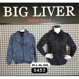 Кофта спортивна чоловіча 5453 blue р.M-2XL "Navas" недорого оптом від прямого постачальника