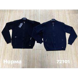 Кофта чоловіча 72101 navy р.L-2XL "Navas" недорого оптом від прямого постачальника