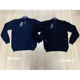 Кофта чоловіча 72149-1 blue р.3XL-5XL "Navas" недорого оптом від прямого постачальника