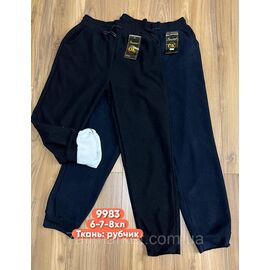 Фотография Спортивные штаны женские, на манжете/мех р-ры 6XL-8XL ( 52-60 ) "STELLA" недорого от прямого поставщика