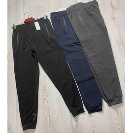 Спортивні штани чоловічі, на флісі/манжеті розміри 48-56 (3кв) "NICOLAS" недорого від прямого постачальника