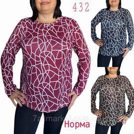 Фотография Кофта женская, молодёжная размер L-4XL (микс цв) "NICOLAS" недорого от прямого поставщика