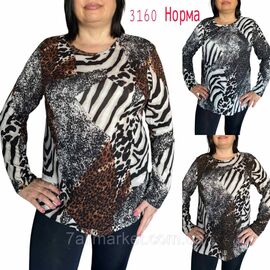 Фотография Кофта женская, молодёжная размер L-4XL (микс цв) "NICOLAS" недорого от прямого поставщика