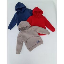 Худи дитячий на хлопчика ML2295 red р.30-38 "Meloria" недорого оптом від прямого постачальника