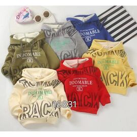 Батник дитячий теплий на хлопчика 18831 red р.1-4 "Фунтик" недорого оптом від прямого постачальника