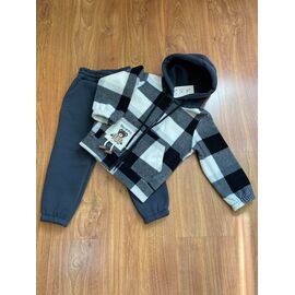 Костюм дитячий спортивний теплий на дівчинку 254-2 grey р.104-128 "RSV" недорого оптом від прямого постачальника